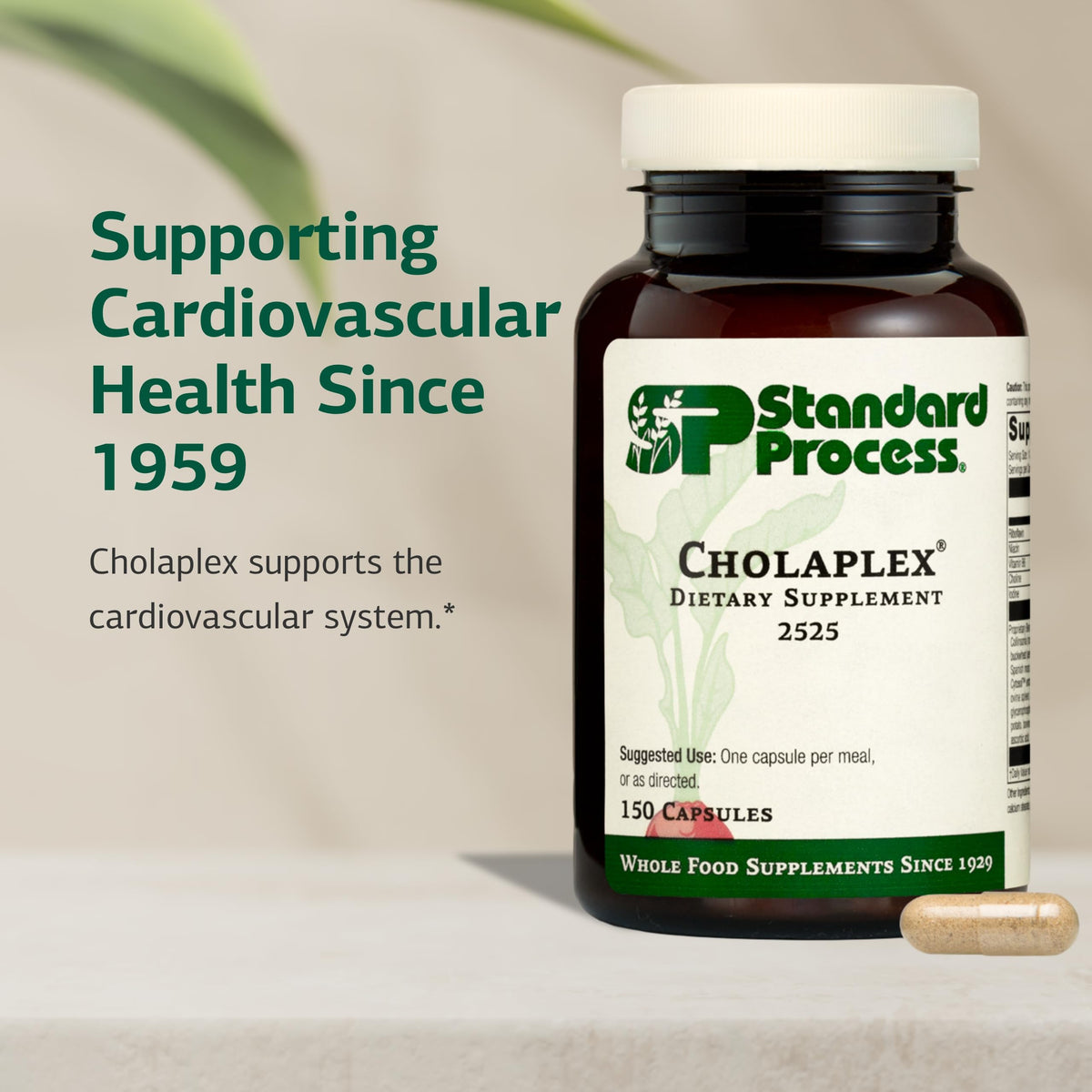 Standard Process Cholaplex capsule en gros plan