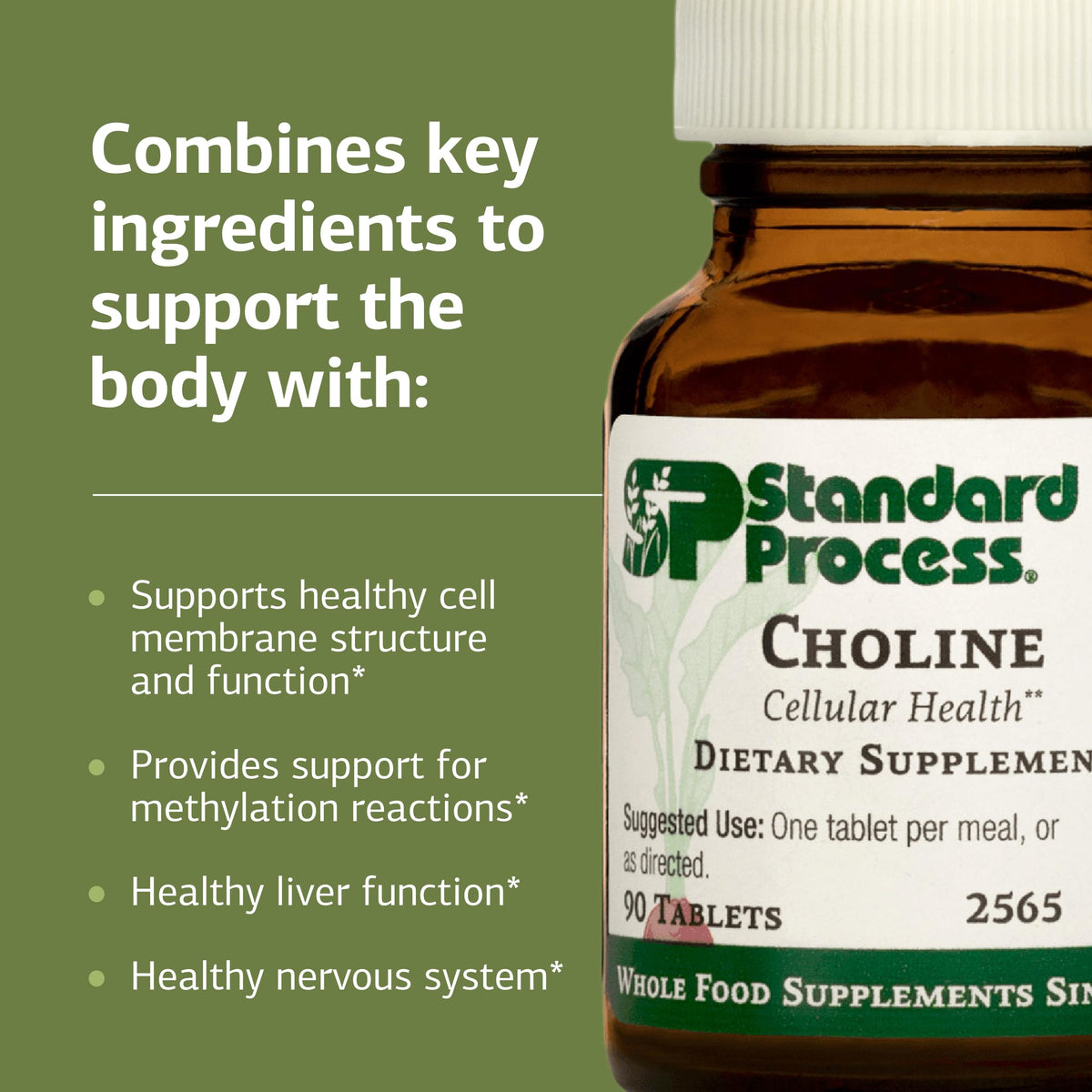 Standard Process Choline tablette sur fond blanc