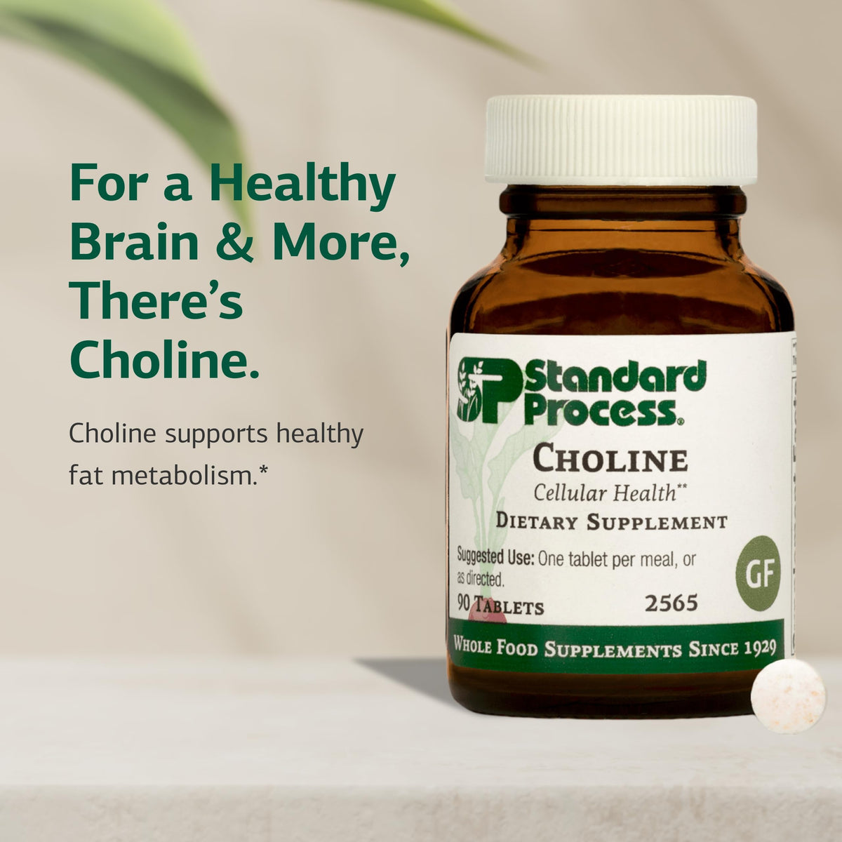 Standard Process Choline vue arrière avec instructions
