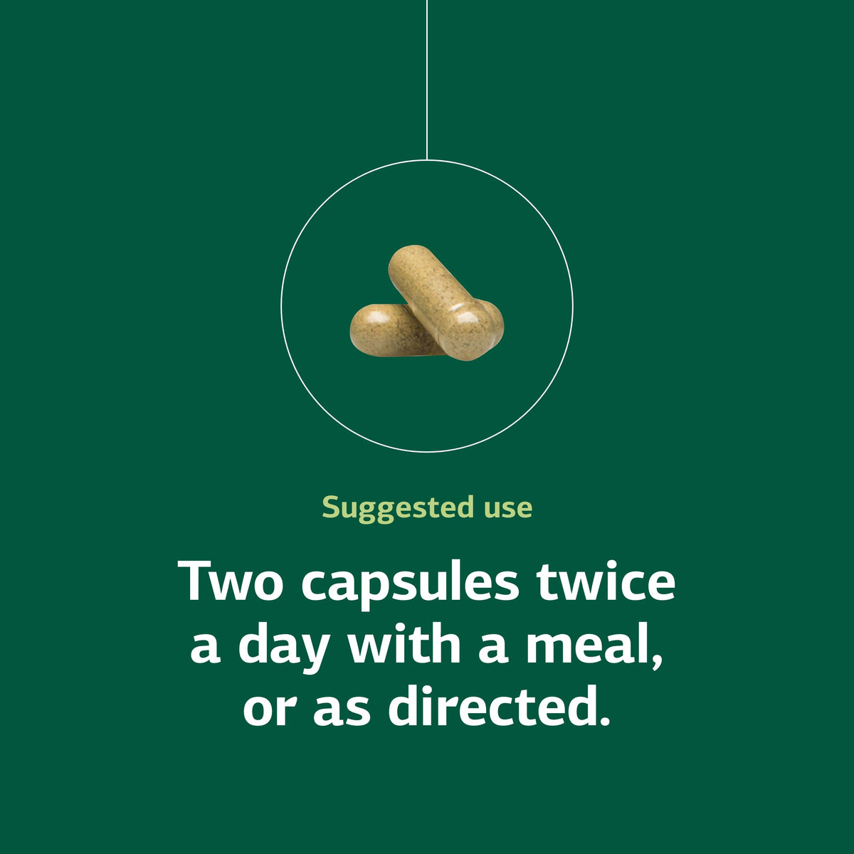 Standard Process Diaplex 150 capsules avec autres compléments alimentaires