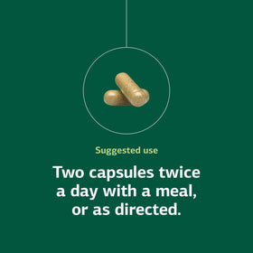 Standard Process Diaplex 150 capsules avec autres compléments alimentaires