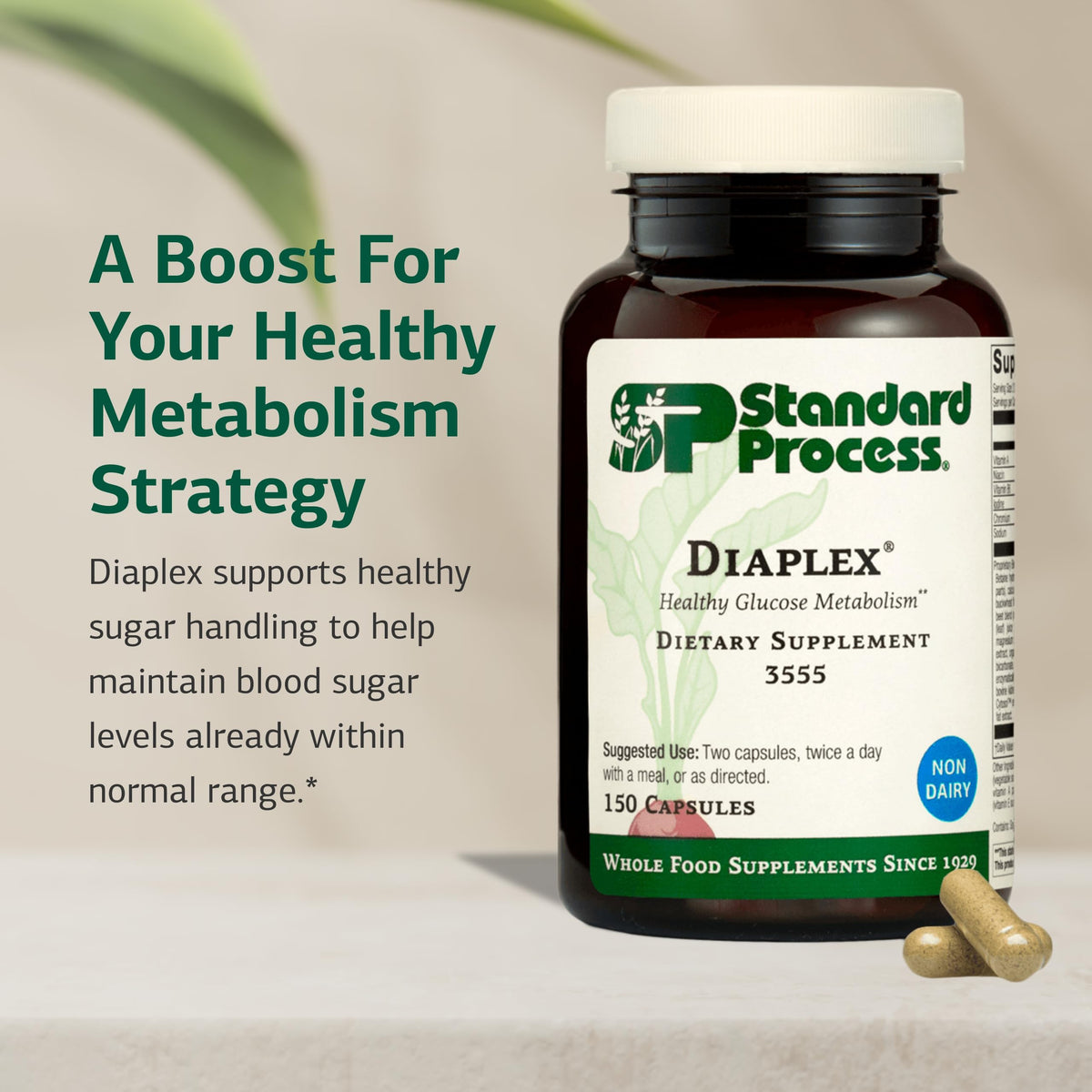 Standard Process Diaplex 150 capsules avec étiquette détaillée