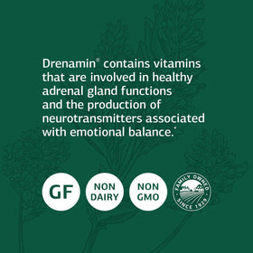 Standard Process Drenamin 90 comprimés, gros plan sur le comprimé