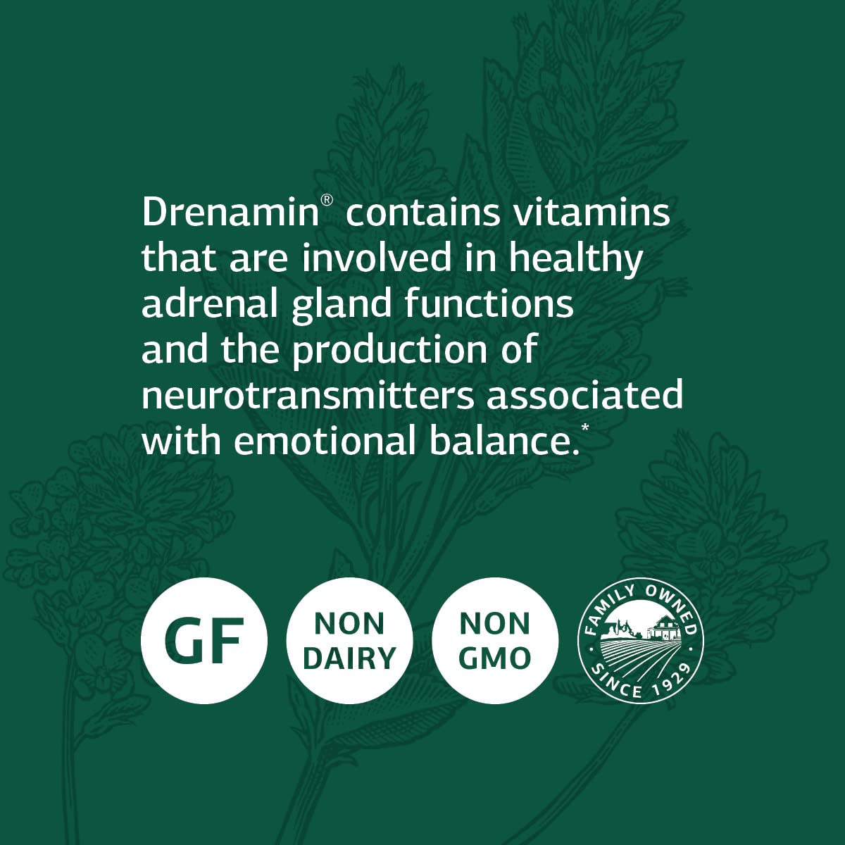 Standard Process Drenamin comprimés dans une main