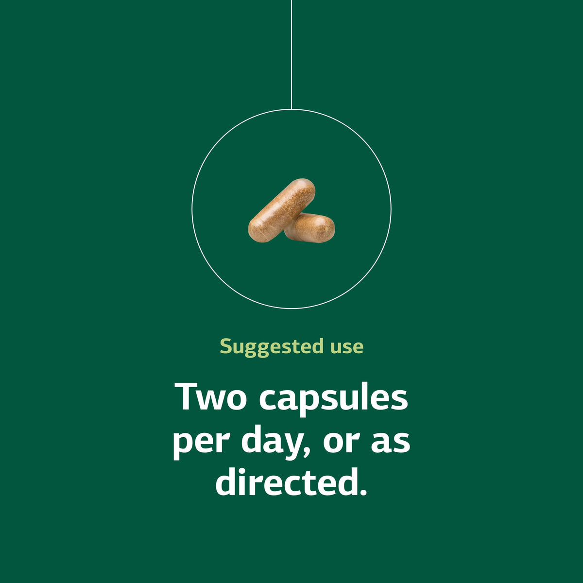Standard Process Epimune Complex, capsules sur une surface blanche