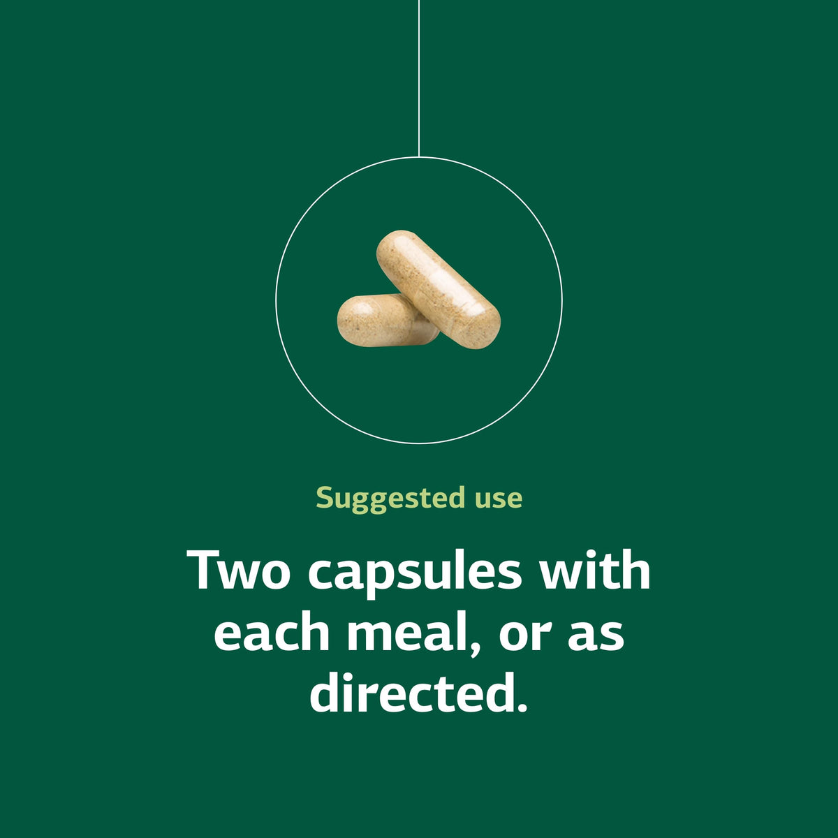 Standard Process Fen-Cho 90 capsules avec étiquette