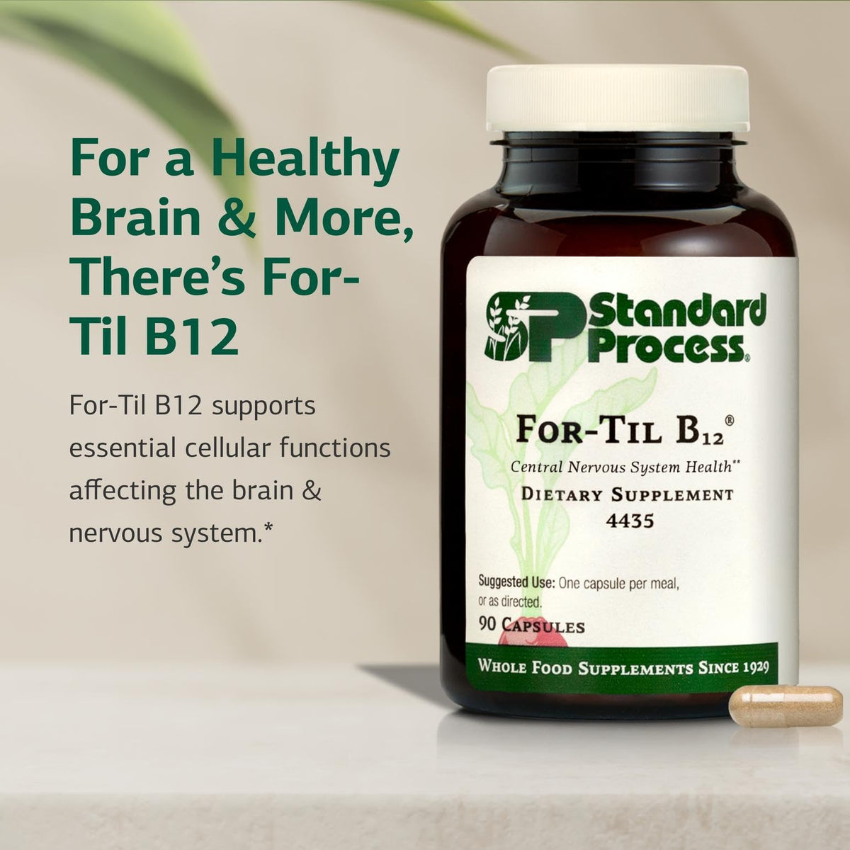 Standard Process For-Til B12 90 capsules sur une table