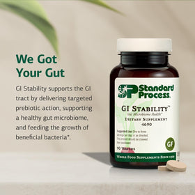 Standard Process GI Stability, comprimé en gros plan