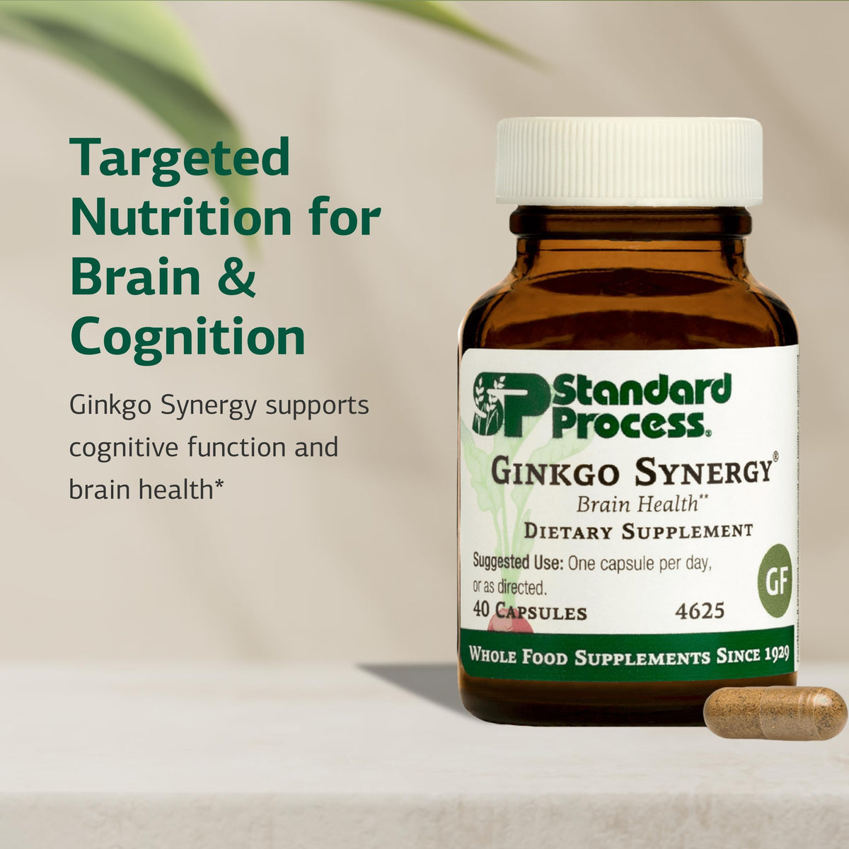 Standard Process Ginkgo Synergy nutritional information