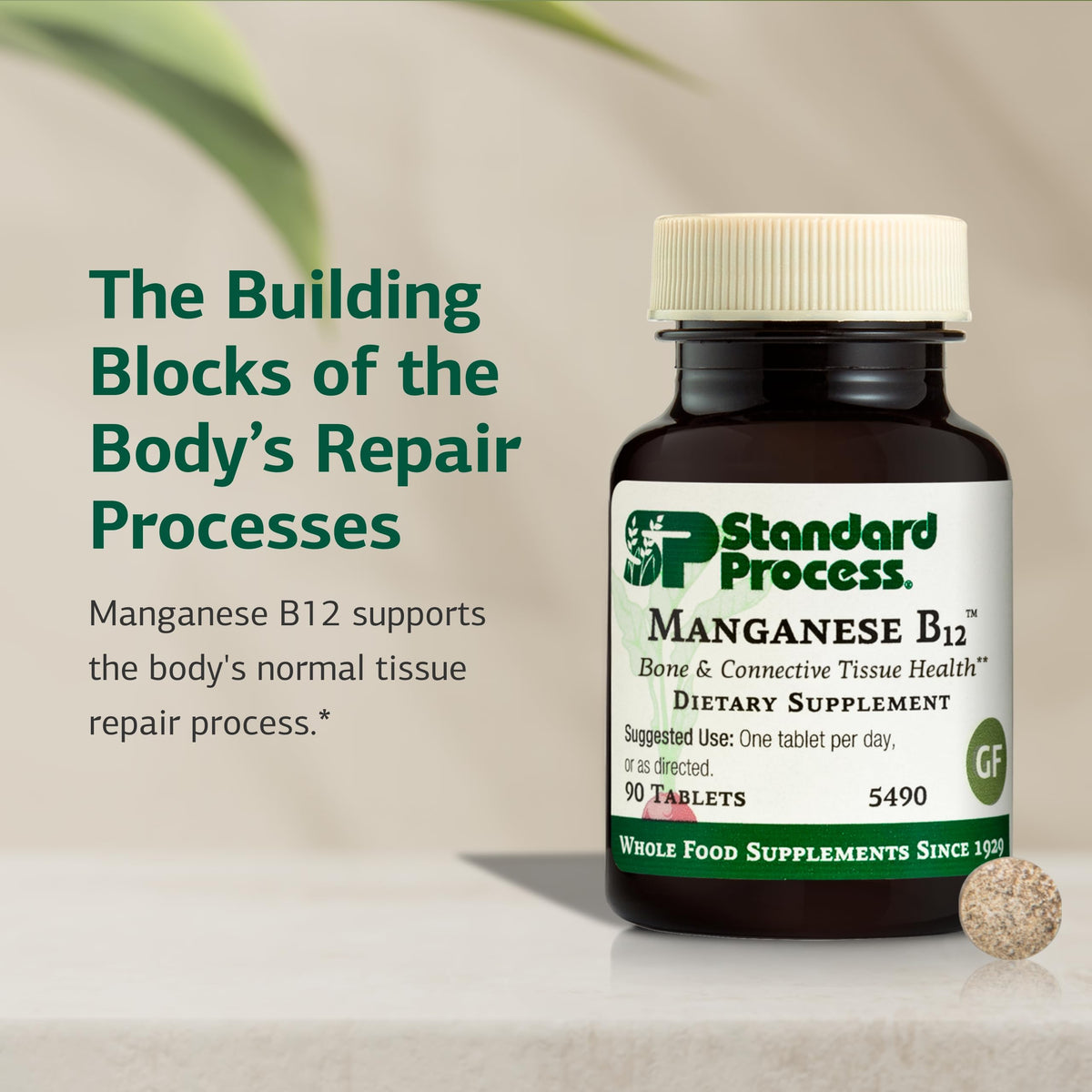 Standard Process Manganèse B12 90 comprimés informations nutritionnelles