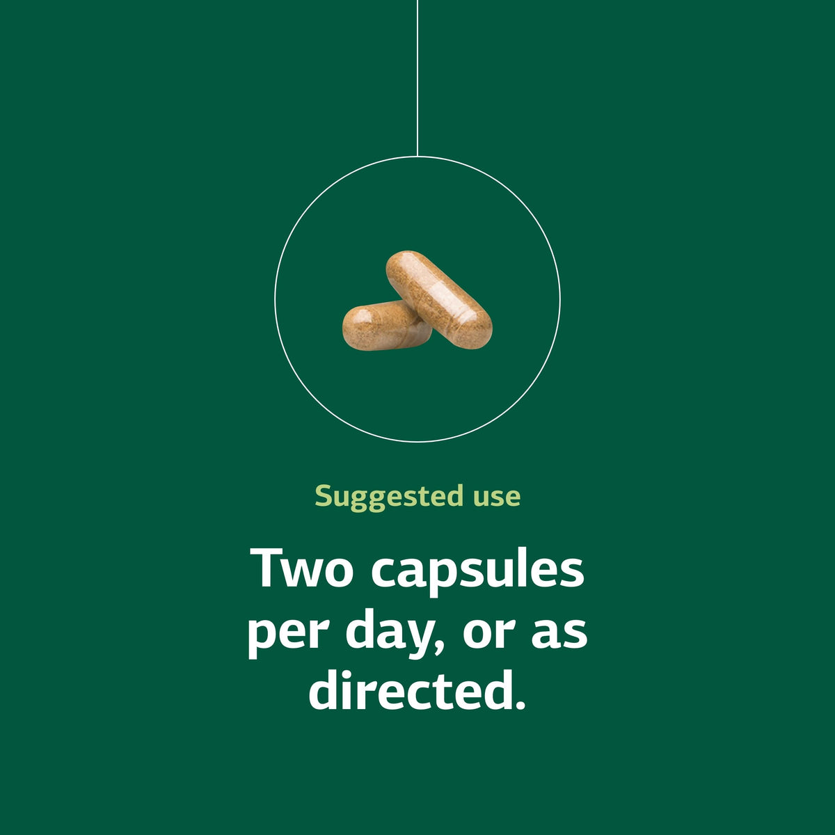 Standard Process Neuroplex 90 capsules avec vitrine
