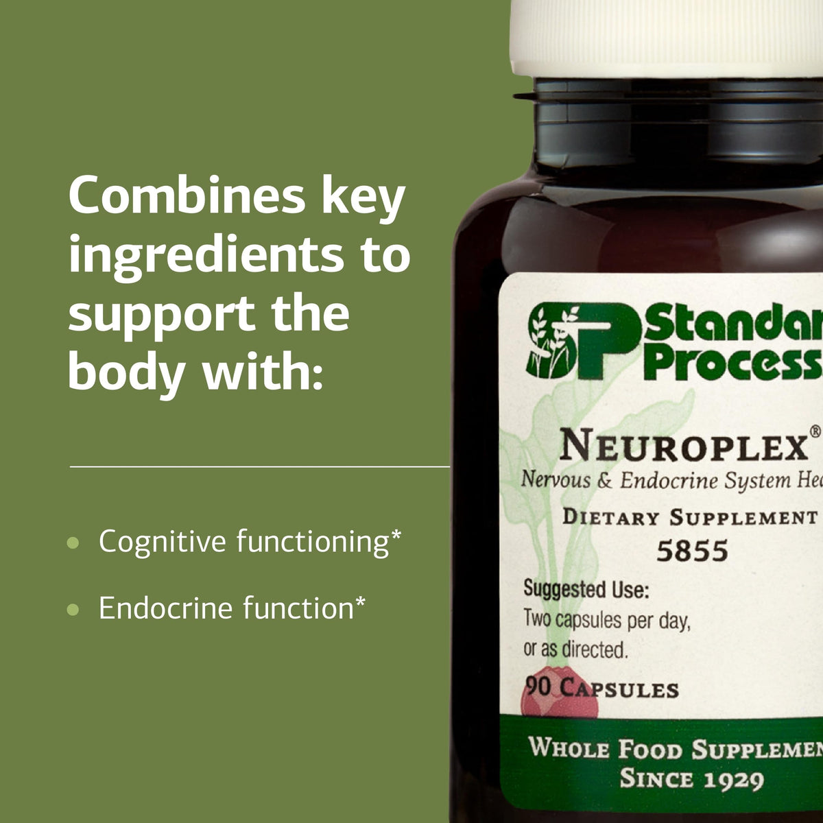 Standard Process Neuroplex 90 capsules sur fond blanc