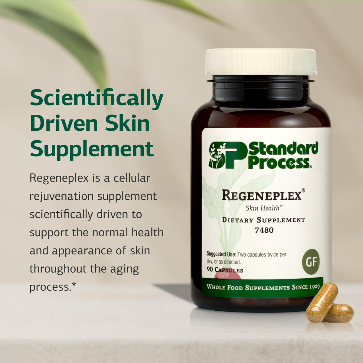 Standard Process Regeneplex 90 Capsules ouvertes montrant les capsules