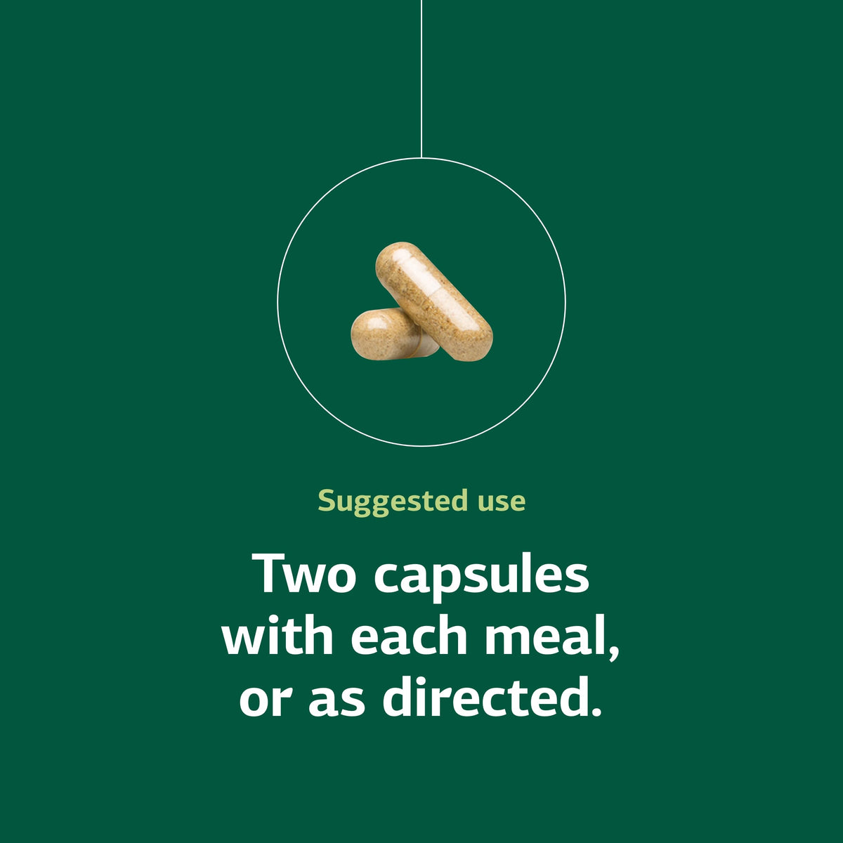 Standard Process Senaplex 90 capsules avec une cuillère à côté