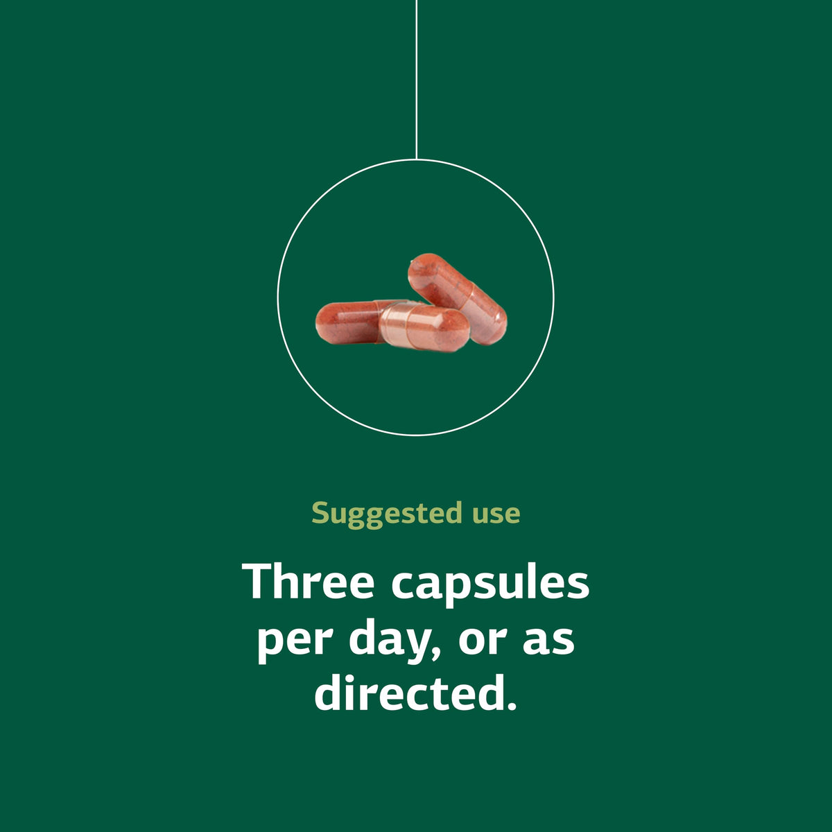 Standard Process SP Red Food capsules ouvertes