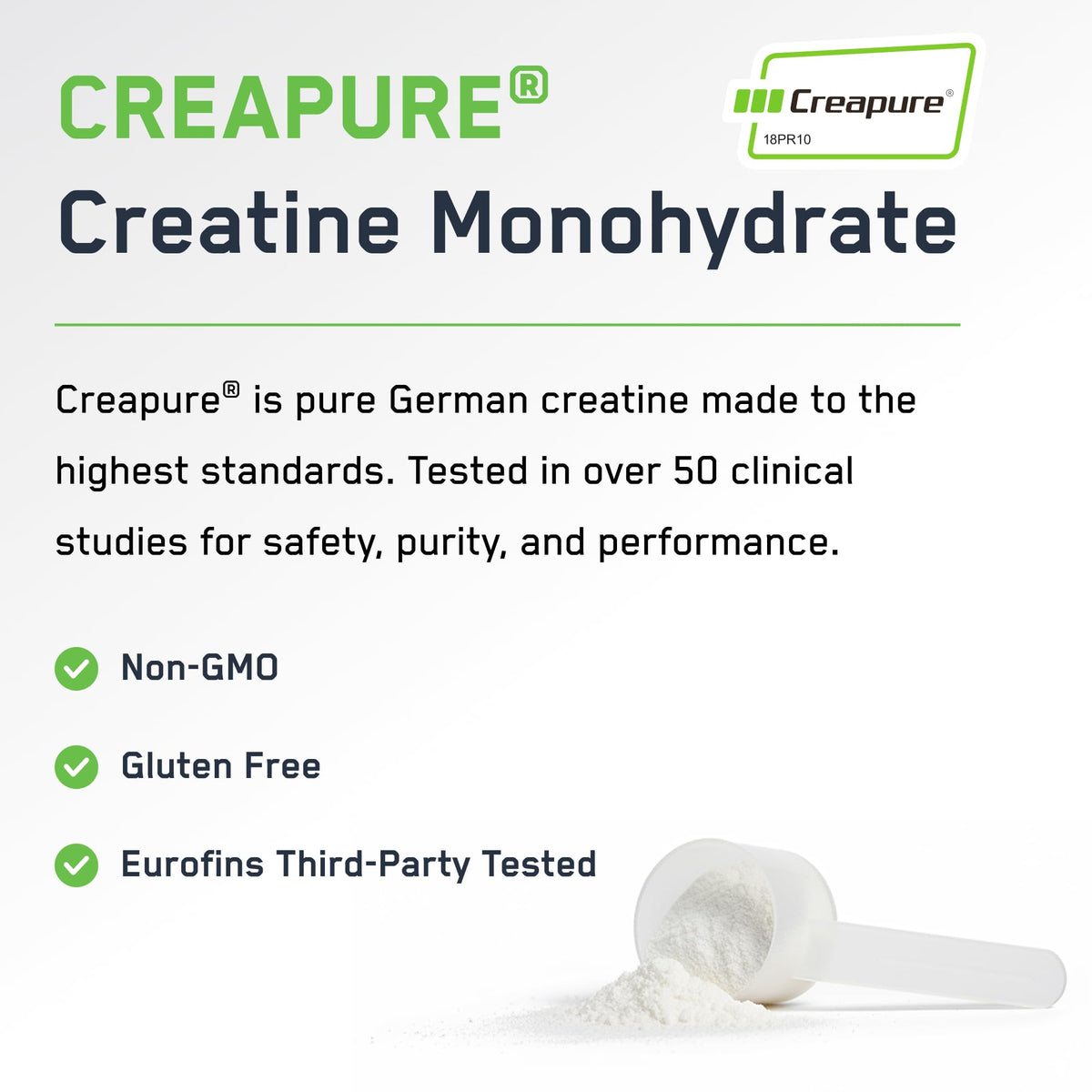 SteelFit Créatine Monohydrate Creapure 581g - poudre dans un verre