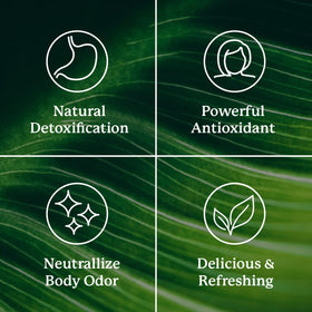Stick Pack de Chlorophylle Nature's Sunshine menthe sur une table