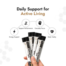 Sticks de miel Kapiva Shilajit, format individuel avec étiquette visible
