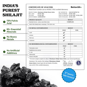 Sticks de Shilajit Pur Himalayen avec miel brut