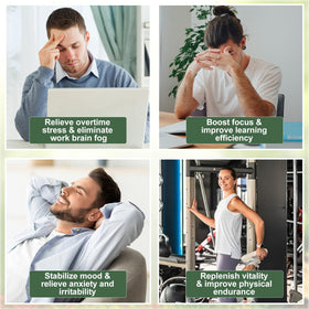 StressXcel Rhodiola Rosea, présentation des capsules
