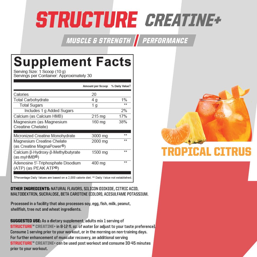 Structure Creatine+ Undefined Nutrition powder scoop with Tropical Citrus flavor
