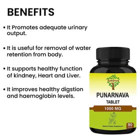 SunNature comprimés de Punarnava 90 comprimés dans une main