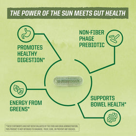 Sunwarrior Probiotiques Capsules Végétales 30 CT dosage