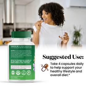 Superfood MD Moringa capsules avec dosette de mesure