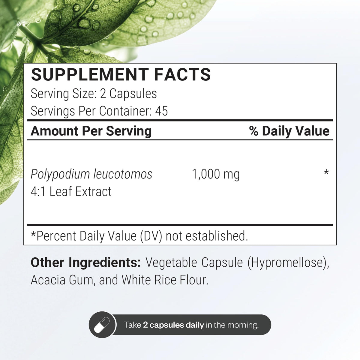 Supersmart extrait de Polypodium leucotomos 1000mg emballage