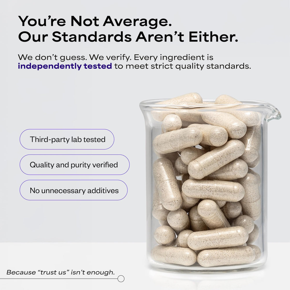 Suppgrade Labs Brain 101 complément avec capsules visibles