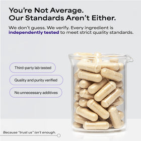 Suppgrade Labs Motivation 101 gélules sur une table