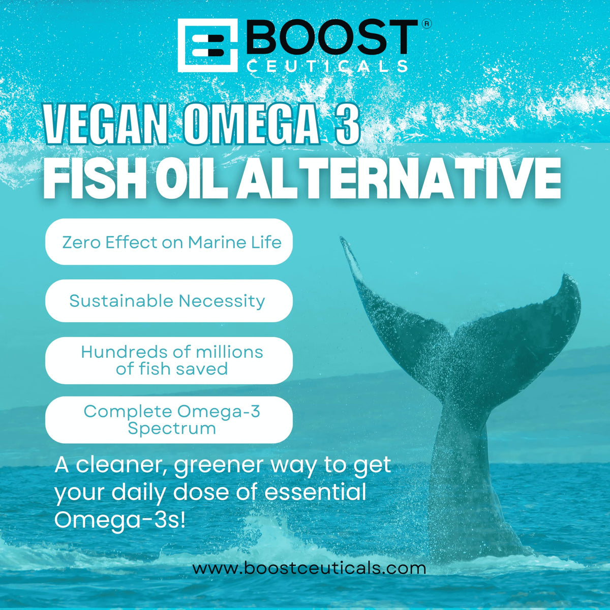 support Complément Alimentaire Omega 3 Végétal - ingrédients sur l'emballage