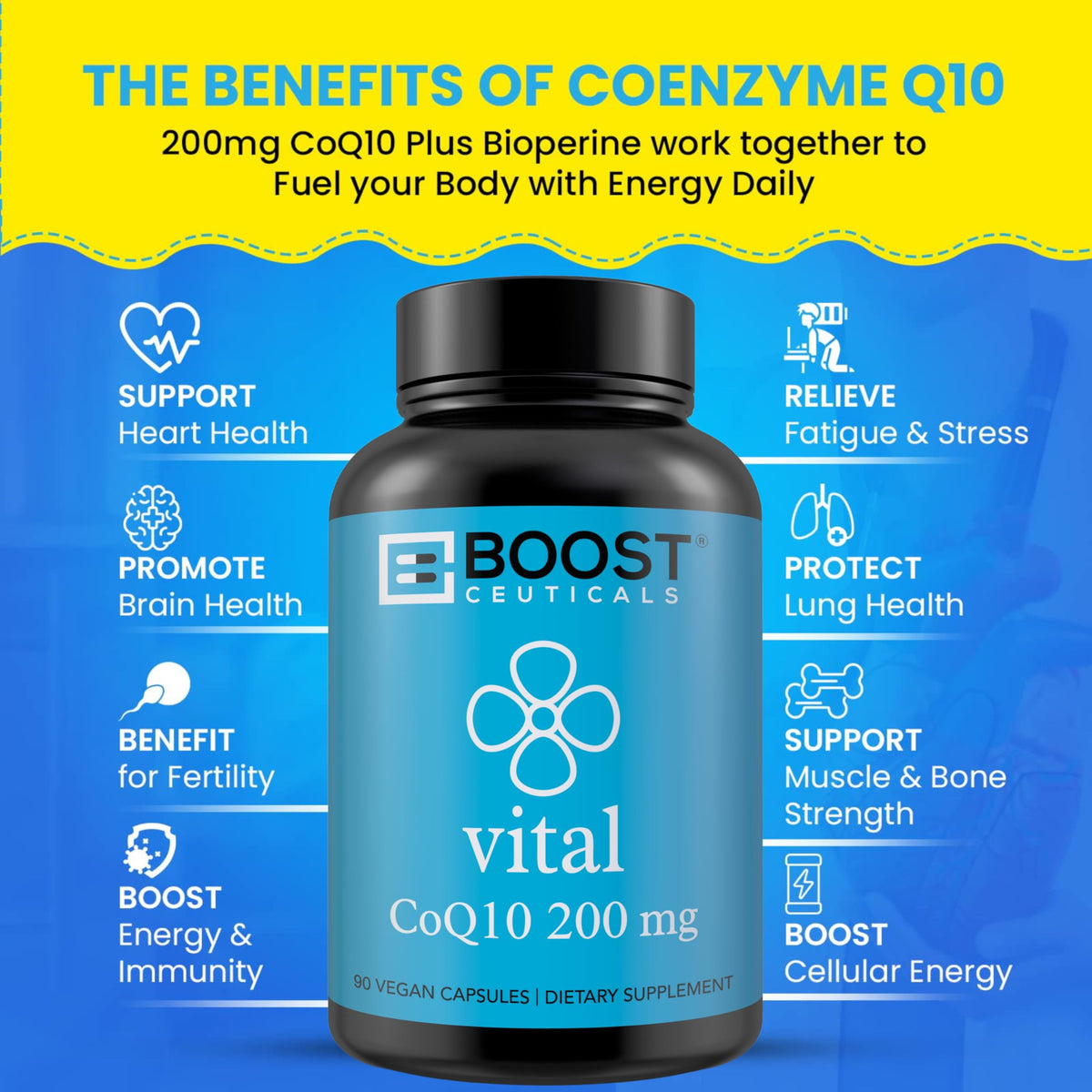 support CoQ10 200mg Vegan Capsules boîte arrière