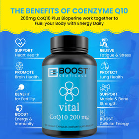 support CoQ10 200mg Vegan Capsules boîte arrière