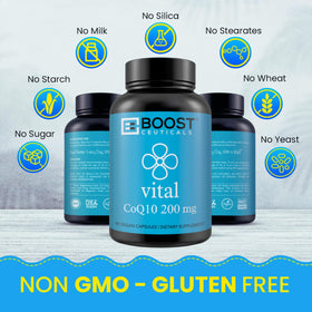 support CoQ10 200mg Vegan Capsules ouverte