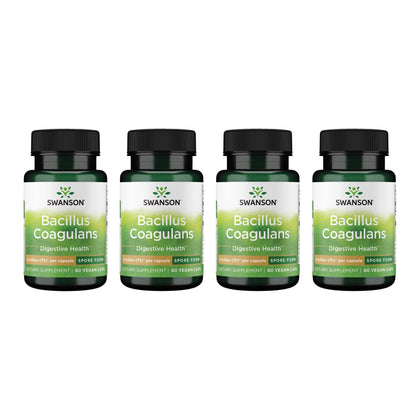 Swanson Bacillus Coagulans Probiotique 60 capsules végétales vue de face