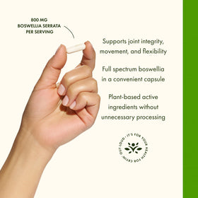 Swanson Boswellia Serrata 800 mg, capsules sur une surface blanche
