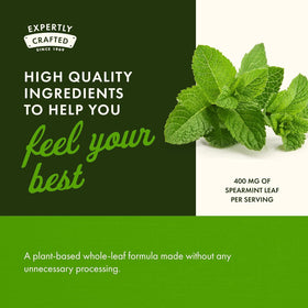 Swanson Feuille de Menthe Verte, capsules dans un bol