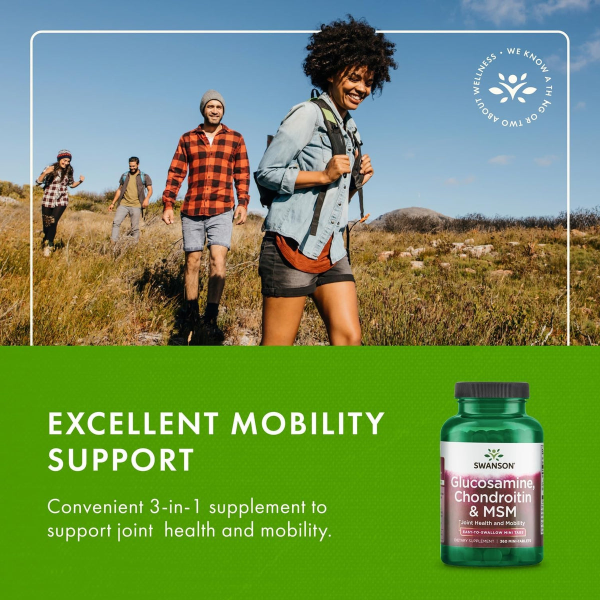 Swanson Glucosamine, Chondroitin & MSM ingredient list on the back