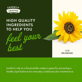 Swanson Lecithine de Tournesol 1 200 mg avec des ingrédients naturels en arrière-plan
