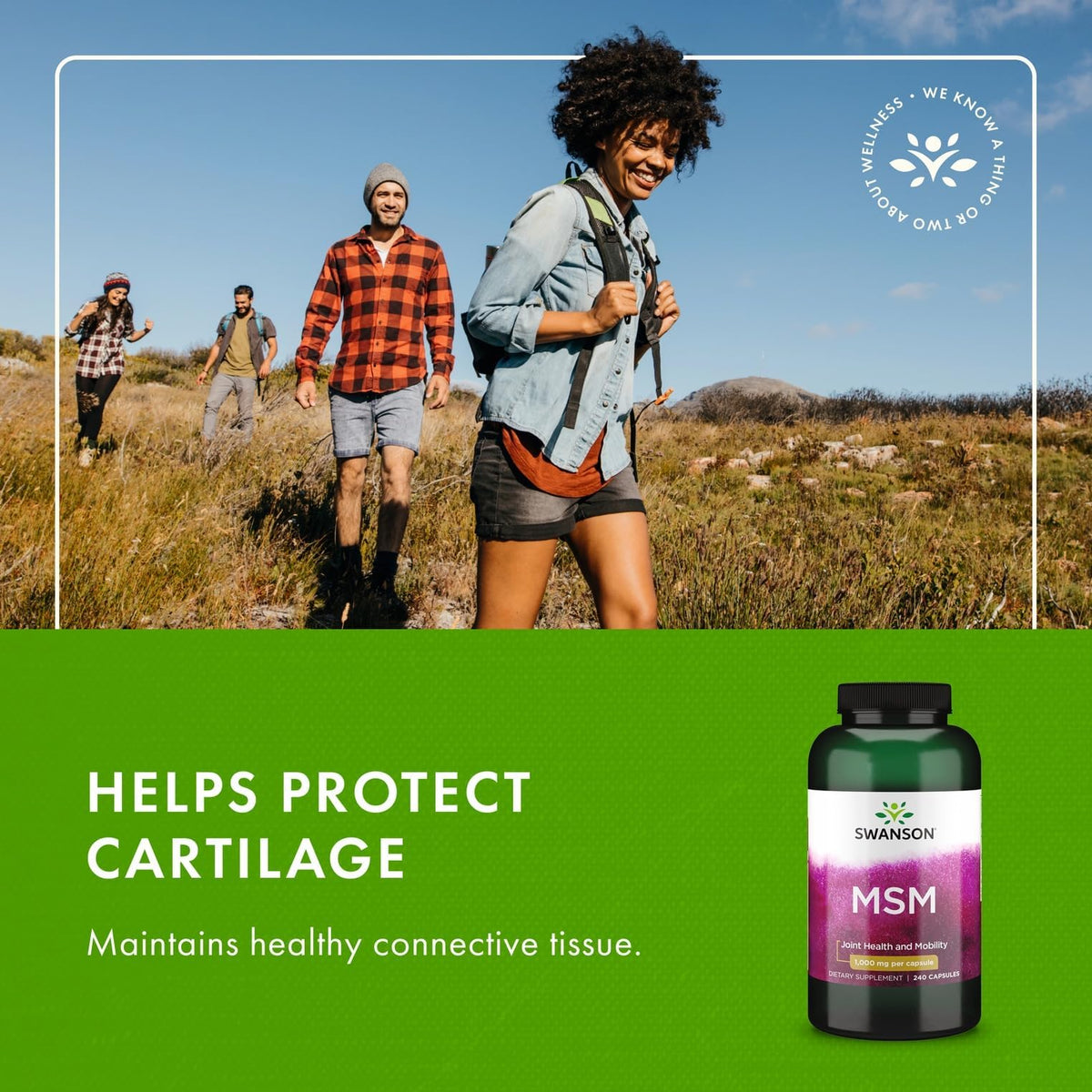Swanson MSM 1000 mg capsules à côté d'un carnet