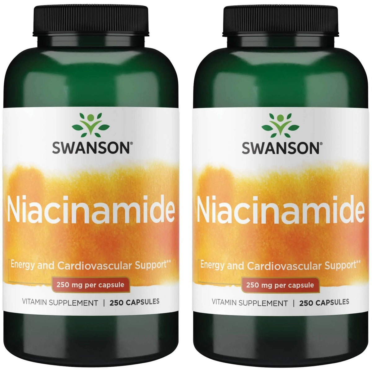 Swanson Niacinamide 250 mg supplément en capsules vue de face