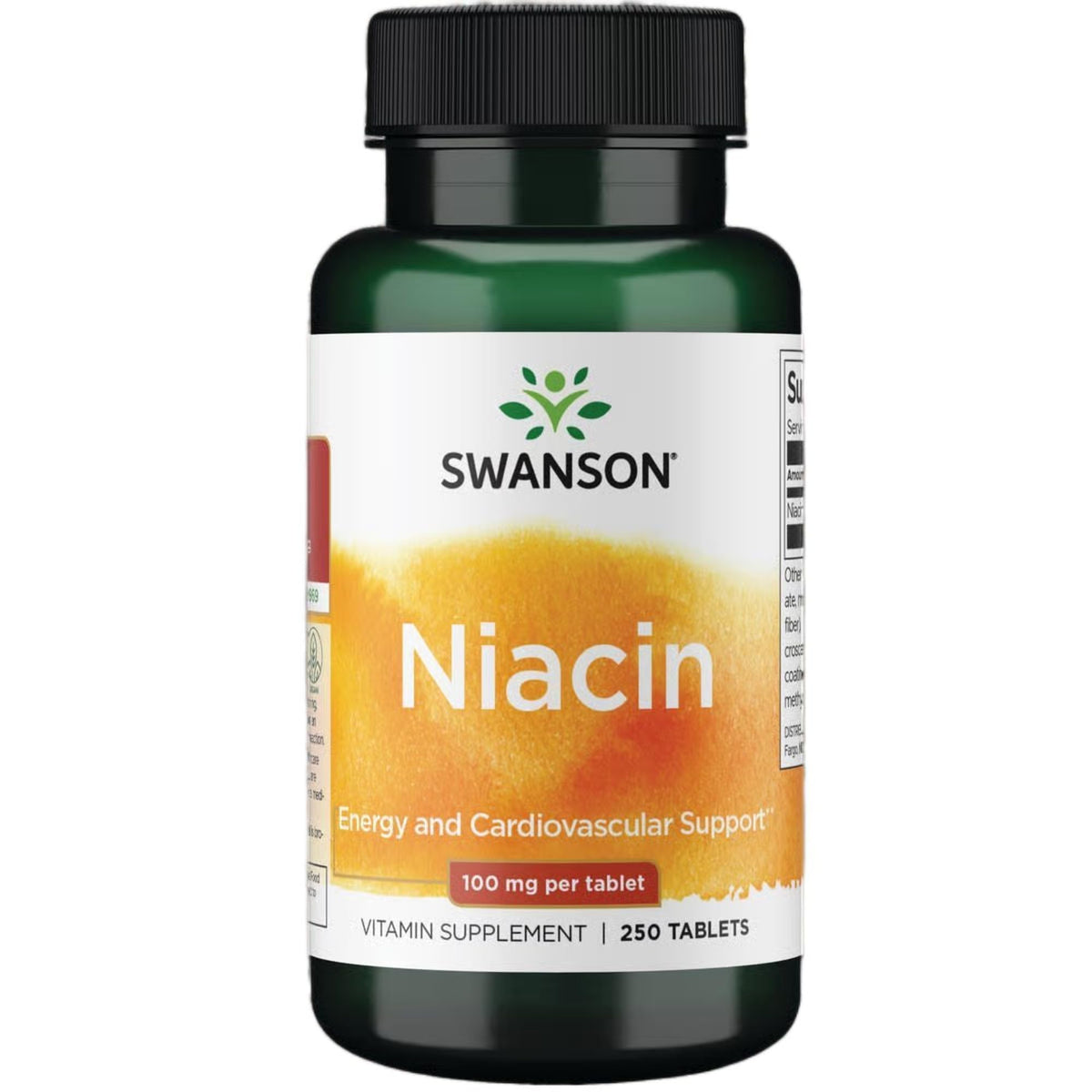 Swanson Niacine 100 mg bouteille de 250 comprimés vue de face