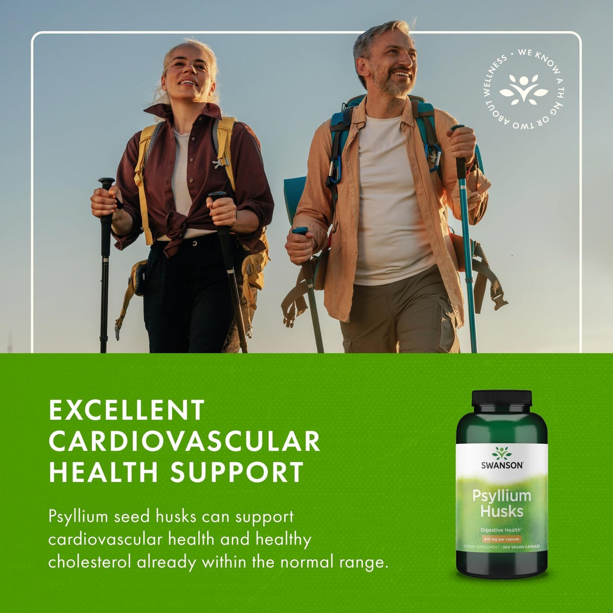 Swanson Psyllium Husk 610 mg 300 Capsules en main