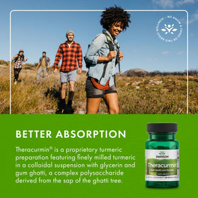Swanson Theracurmin 300 mg vue arrière de la boîte