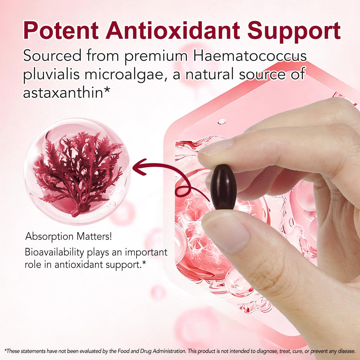 SXOSXO Astaxanthin 24mg, gélules et ingrédients naturels