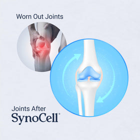Synocell complément articulaire, ingrédients naturels en avant-plan
