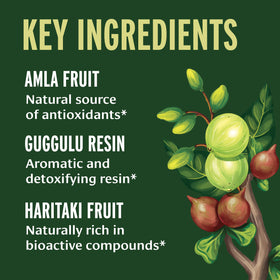 Tablette de Banyan Botanicals Triphala Guggulu sur une surface