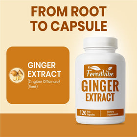 Tablette de capsules de gingembre ForestVibe avec étiquette visible