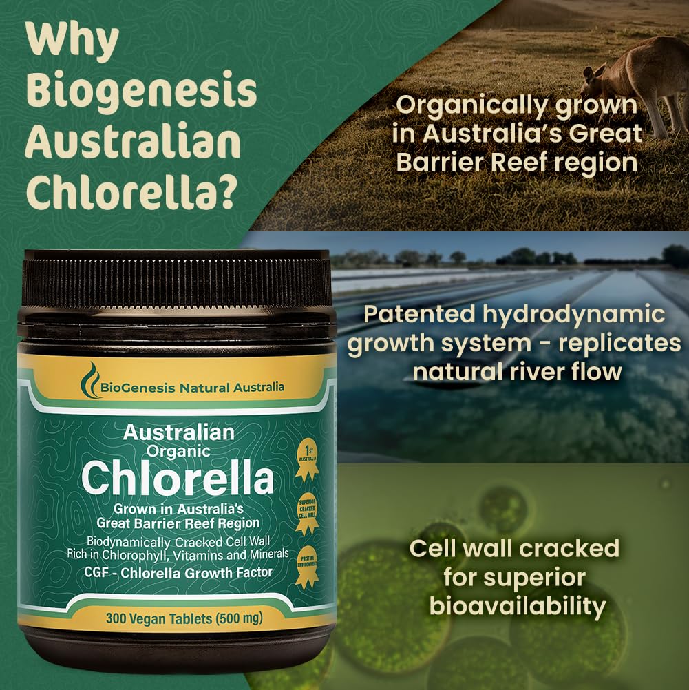 Tablette de Chlorella Biogenesis sur un fond naturel